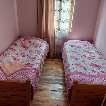 Guest House Tsasne Omalo Bagian luar foto