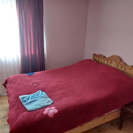 Guest House Tsasne Omalo Bagian luar foto